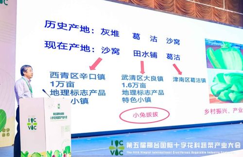 小種子撬動(dòng)大產(chǎn)業(yè) 第五屆邢臺(tái)國(guó)際十字花科蔬菜產(chǎn)業(yè)大會(huì)盛大啟帷，展現(xiàn)科技興農(nóng)新圖景